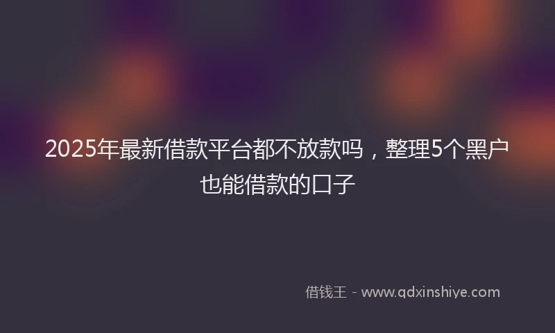 2025年最新借款平台都不放款吗，整理5个黑户也能借款的口子