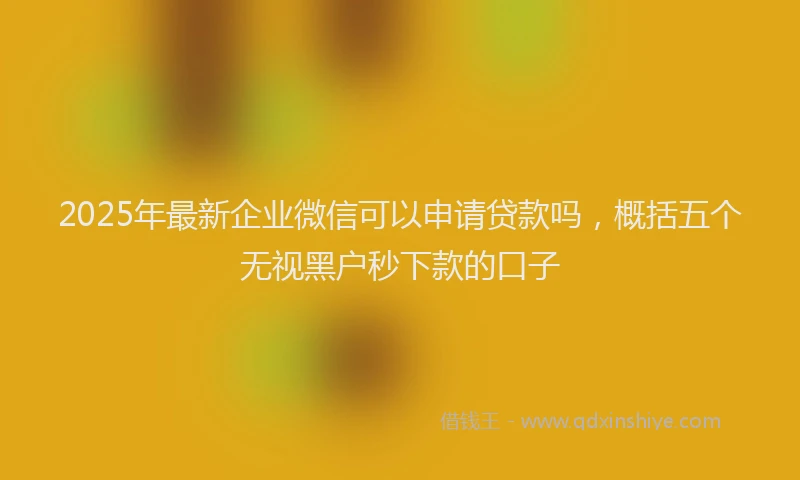 2025年最新企业微信可以申请贷款吗，概括五个无视黑户秒下款的口子