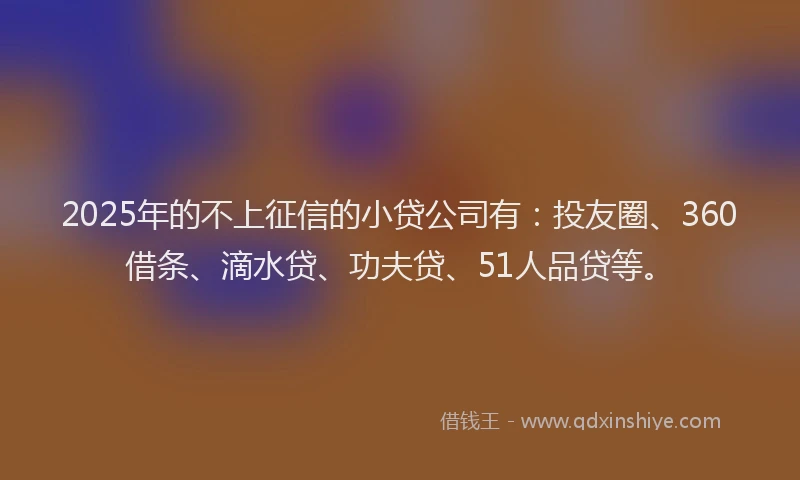 2025年的不上征信的小贷公司有：投友圈、360借条、滴水贷、功夫贷、51人品贷等。