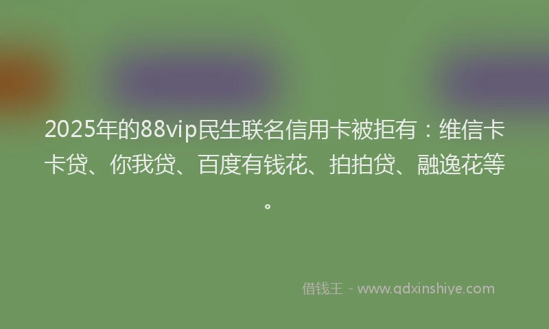 2025年的88vip民生联名信用卡被拒有：维信卡卡贷、你我贷、百度有钱花、拍拍贷、融逸花等。
