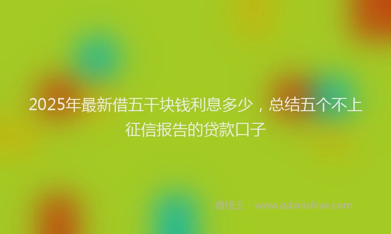 2025年最新借五干块钱利息多少，总结五个不上征信报告的贷款口子