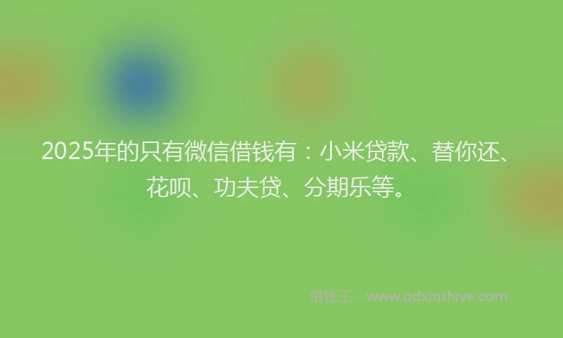 2025年的只有微信借钱有：小米贷款、替你还、花呗、功夫贷、分期乐等。
