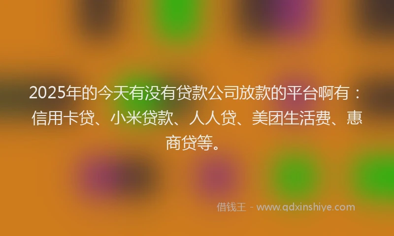 2025年的今天有没有贷款公司放款的平台啊有：信用卡贷、小米贷款、人人贷、美团生活费、惠商贷等。