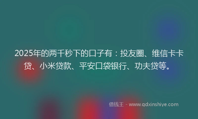 2025年的两千秒下的口子有：投友圈、维信卡卡贷、小米贷款、平安口袋银行、功夫贷等。