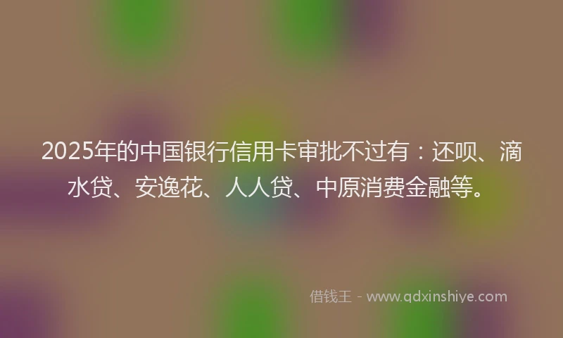 2025年的中国银行信用卡审批不过有：还呗、滴水贷、安逸花、人人贷、中原消费金融等。