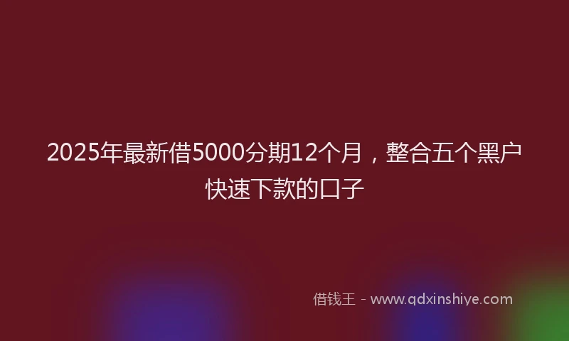 2025年最新借5000分期12个月，整合五个黑户快速下款的口子