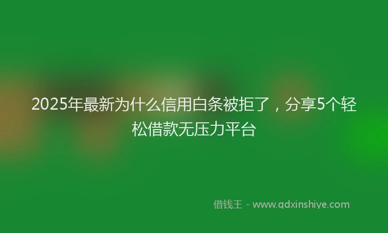 2025年最新为什么信用白条被拒了，分享5个轻松借款无压力平台