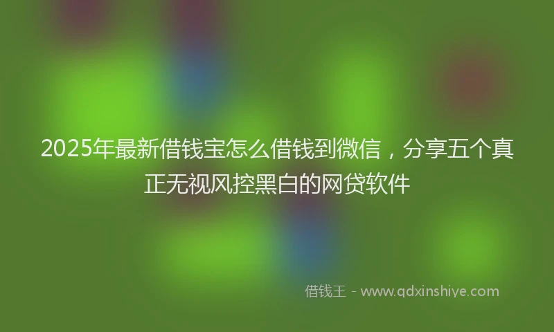 2025年最新借钱宝怎么借钱到微信，分享五个真正无视风控黑白的网贷软件