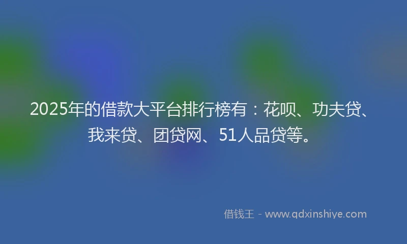 2025年的借款大平台排行榜有：花呗、功夫贷、我来贷、团贷网、51人品贷等。