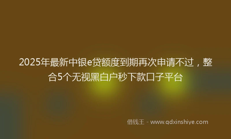 2025年最新中银e贷额度到期再次申请不过，整合5个无视黑白户秒下款口子平台