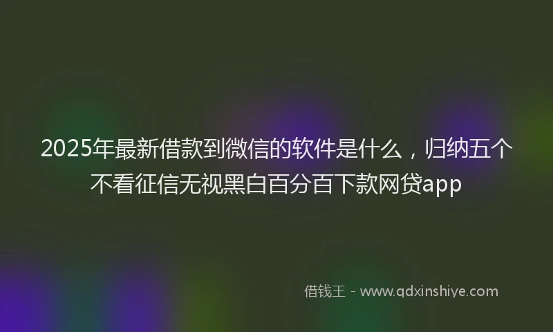 2025年最新借款到微信的软件是什么，归纳五个不看征信无视黑白百分百下款网贷app