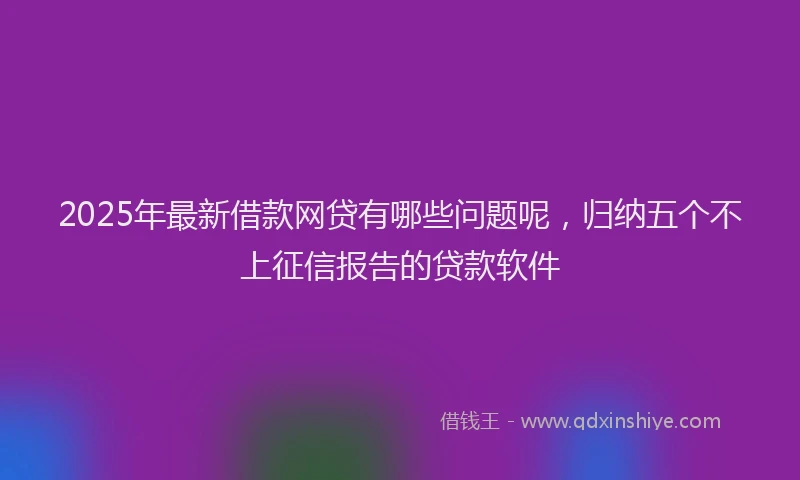2025年最新借款网贷有哪些问题呢，归纳五个不上征信报告的贷款软件
