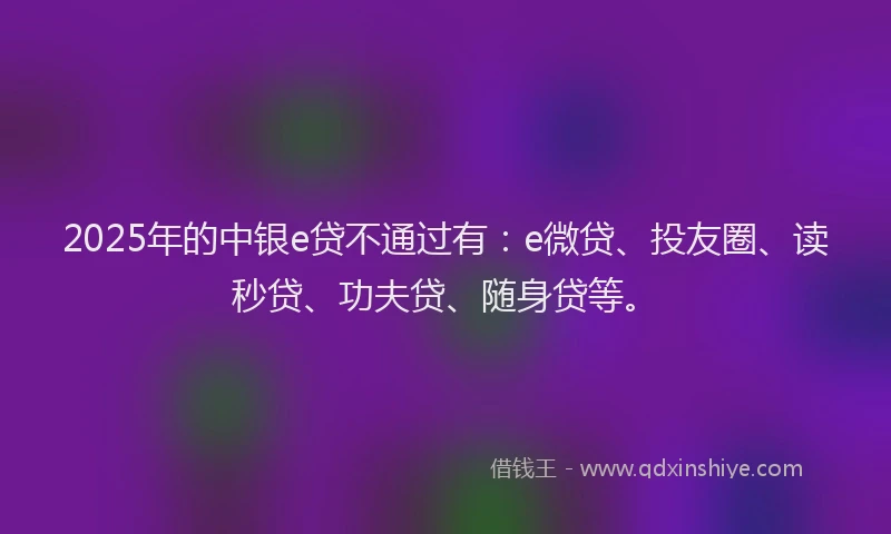 2025年的中银e贷不通过有：e微贷、投友圈、读秒贷、功夫贷、随身贷等。