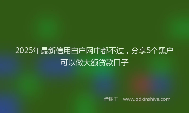 2025年最新信用白户网申都不过，分享5个黑户可以做大额贷款口子