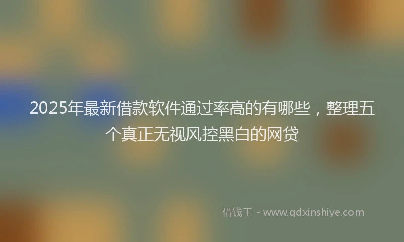 2025年最新借款软件通过率高的有哪些，整理五个真正无视风控黑白的网贷