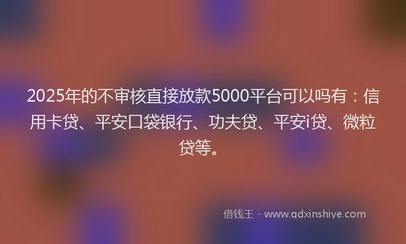 2025年的不审核直接放款5000平台可以吗有：信用卡贷、平安口袋银行、功夫贷、平安i贷、微粒贷等。