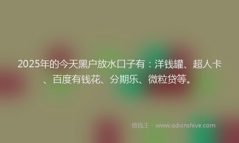 2025年的今天黑户放水口子有：洋钱罐、超人卡、百度有钱花、分期乐、微粒贷等。