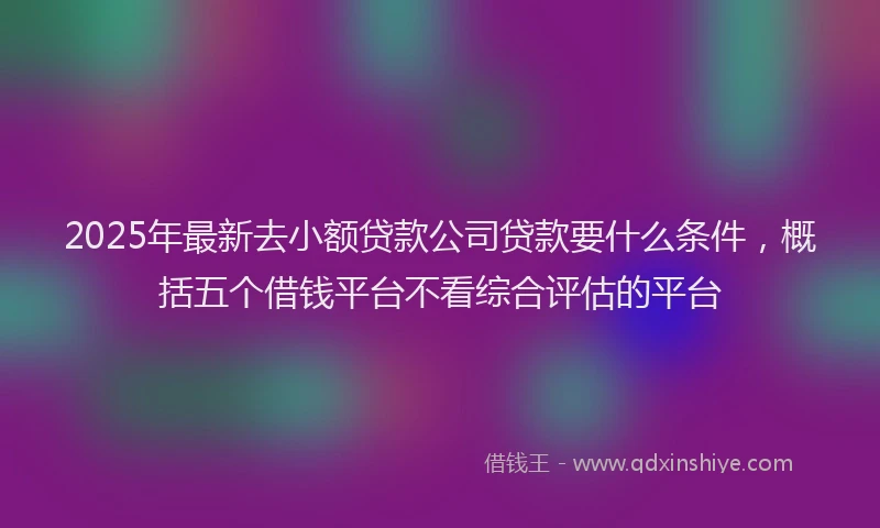 2025年最新去小额贷款公司贷款要什么条件，概括五个借钱平台不看综合评估的平台