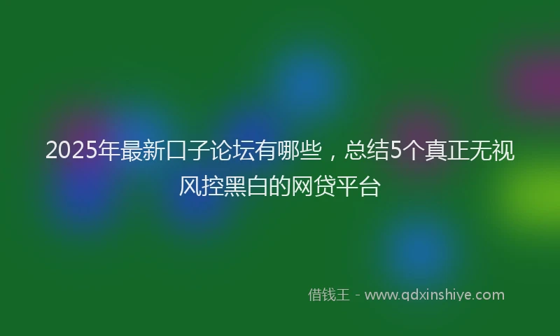 2025年最新口子论坛有哪些，总结5个真正无视风控黑白的网贷平台