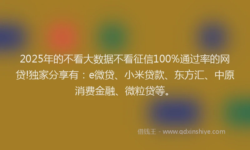 2025年的不看大数据不看征信100%通过率的网贷!独家分享有：e微贷、小米贷款、东方汇、中原消费金融、微粒贷等。