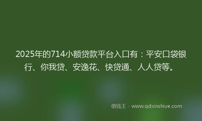 2025年的714小额贷款平台入口有：平安口袋银行、你我贷、安逸花、快贷通、人人贷等。
