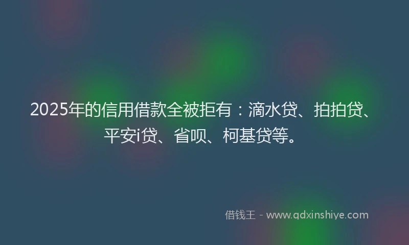 2025年的信用借款全被拒有：滴水贷、拍拍贷、平安i贷、省呗、柯基贷等。