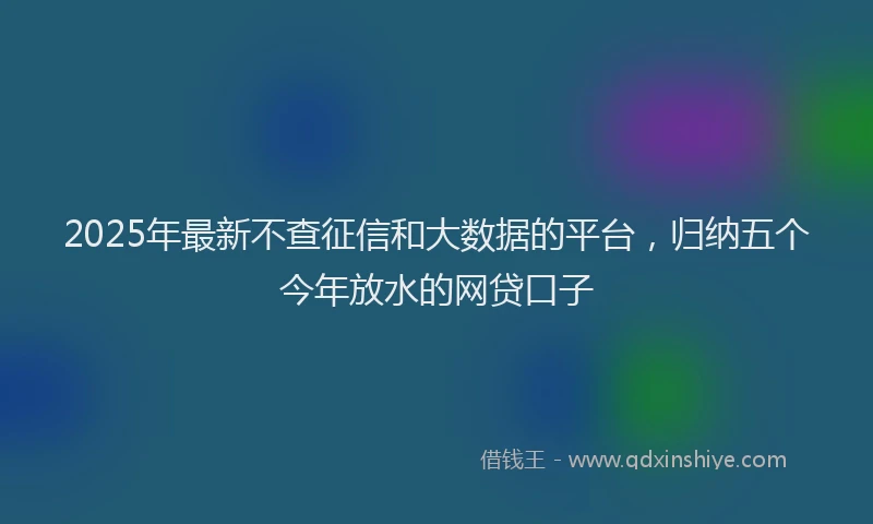 2025年最新不查征信和大数据的平台，归纳五个今年放水的网贷口子