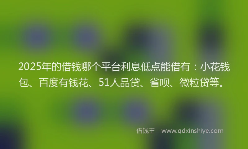 2025年的借钱哪个平台利息低点能借有：小花钱包、百度有钱花、51人品贷、省呗、微粒贷等。