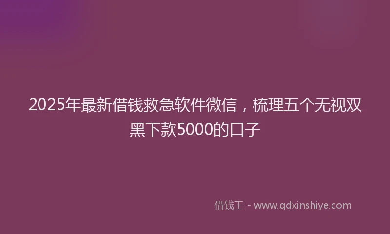 2025年最新借钱救急软件微信，梳理五个无视双黑下款5000的口子