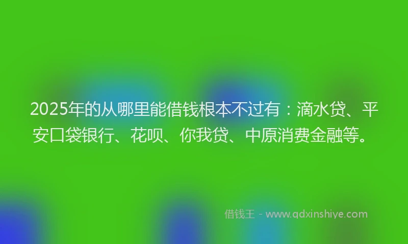 2025年的从哪里能借钱根本不过有：滴水贷、平安口袋银行、花呗、你我贷、中原消费金融等。