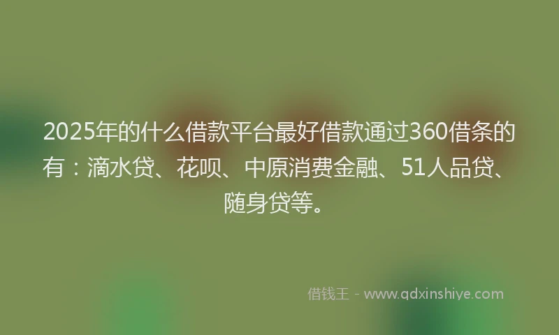 2025年的什么借款平台最好借款通过360借条的有：滴水贷、花呗、中原消费金融、51人品贷、随身贷等。