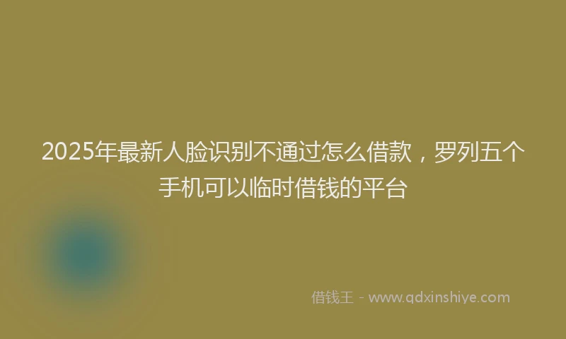 2025年最新人脸识别不通过怎么借款，罗列五个手机可以临时借钱的平台