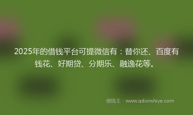 2025年的借钱平台可提微信有：替你还、百度有钱花、好期贷、分期乐、融逸花等。