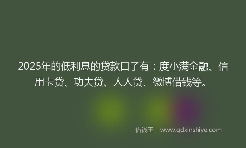 2025年的低利息的贷款口子有：度小满金融、信用卡贷、功夫贷、人人贷、微博借钱等。