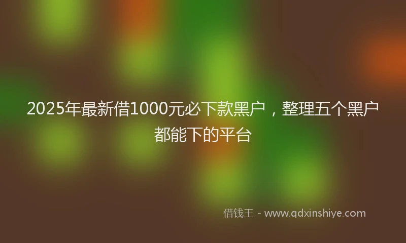2025年最新借1000元必下款黑户，整理五个黑户都能下的平台