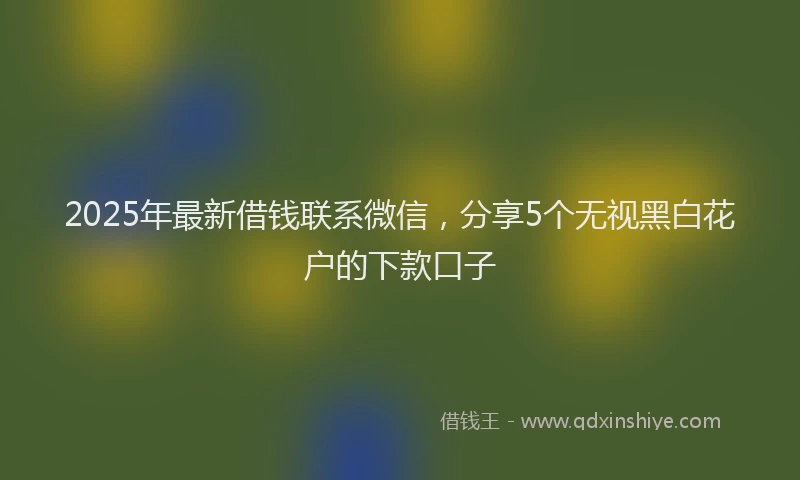 2025年最新借钱联系微信，分享5个无视黑白花户的下款口子