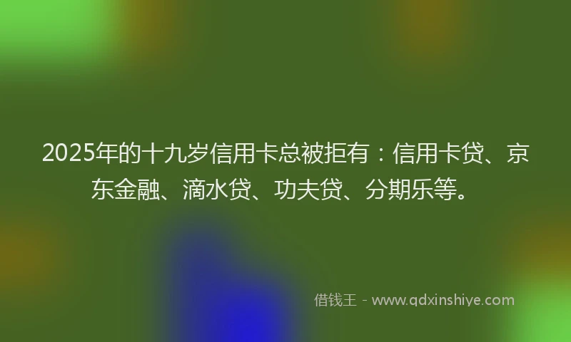 2025年的十九岁信用卡总被拒有：信用卡贷、京东金融、滴水贷、功夫贷、分期乐等。