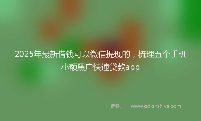 2025年最新借钱可以微信提现的，梳理五个手机小额黑户快速贷款app