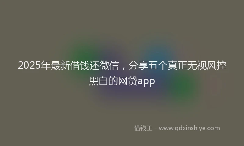 2025年最新借钱还微信，分享五个真正无视风控黑白的网贷app