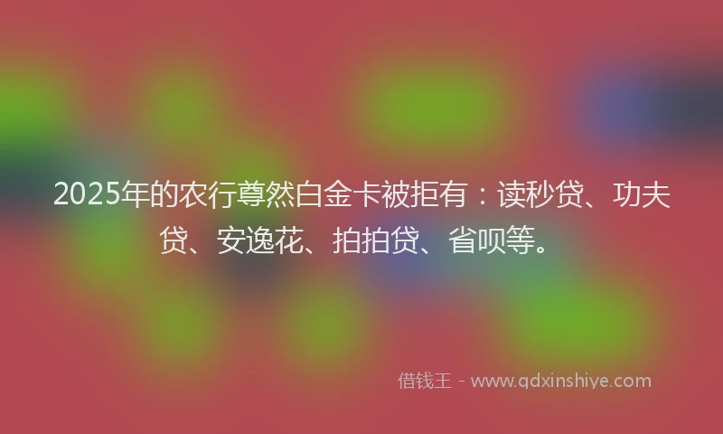 2025年的农行尊然白金卡被拒有：读秒贷、功夫贷、安逸花、拍拍贷、省呗等。