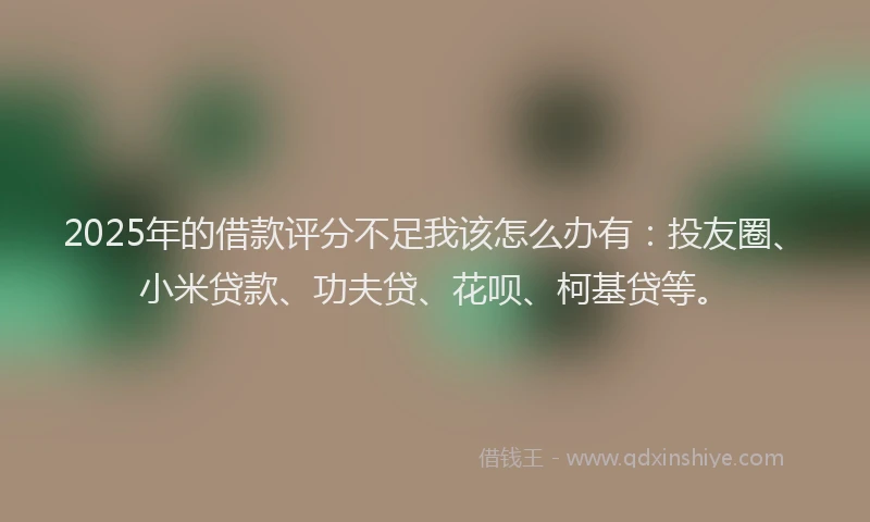 2025年的借款评分不足我该怎么办有：投友圈、小米贷款、功夫贷、花呗、柯基贷等。