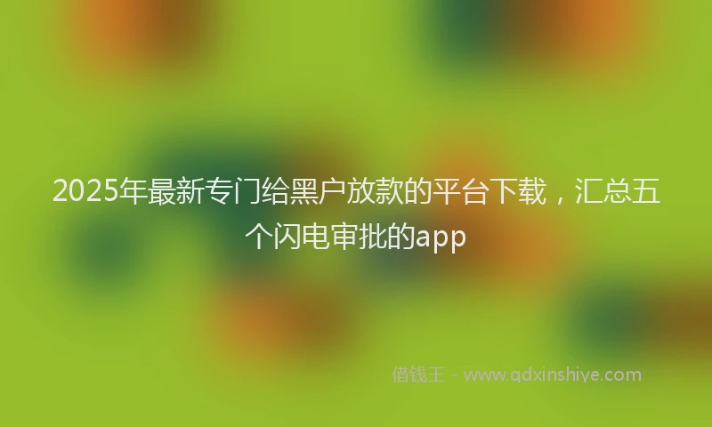 2025年最新专门给黑户放款的平台下载，汇总五个闪电审批的app