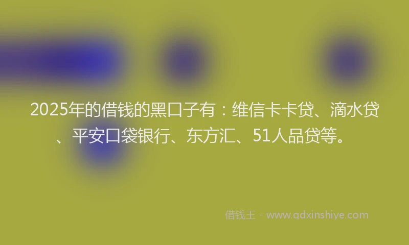 2025年的借钱的黑口子有：维信卡卡贷、滴水贷、平安口袋银行、东方汇、51人品贷等。