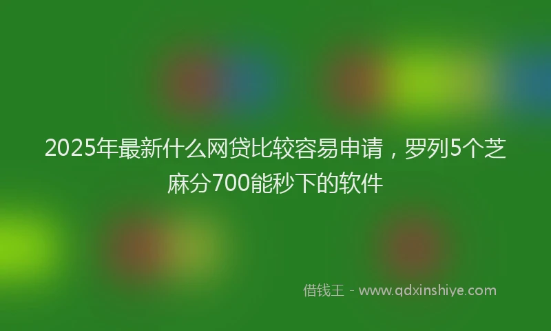 2025年最新什么网贷比较容易申请，罗列5个芝麻分700能秒下的软件