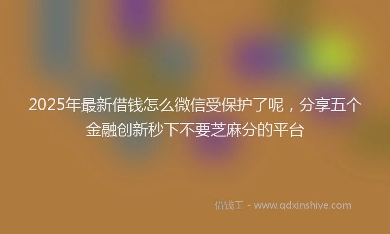 2025年最新借钱怎么微信受保护了呢，分享五个金融创新秒下不要芝麻分的平台