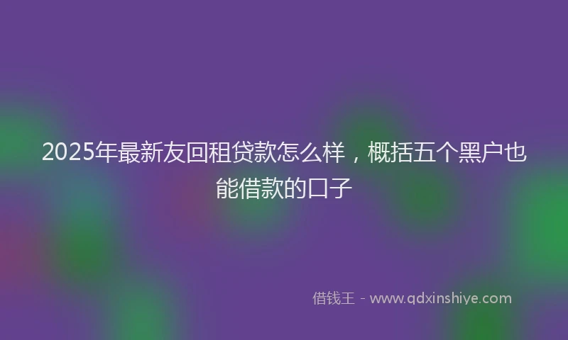 2025年最新友回租贷款怎么样，概括五个黑户也能借款的口子
