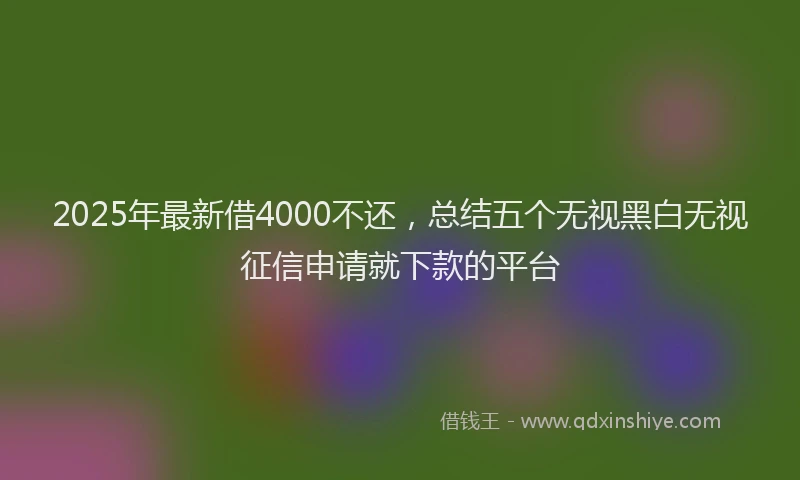 2025年最新借4000不还，总结五个无视黑白无视征信申请就下款的平台