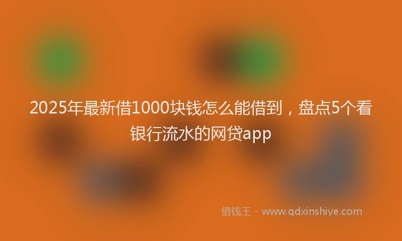 2025年最新借1000块钱怎么能借到，盘点5个看银行流水的网贷app