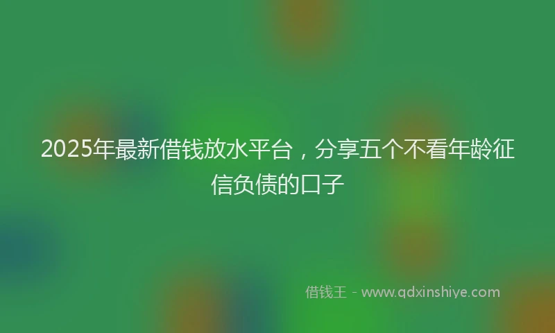 2025年最新借钱放水平台，分享五个不看年龄征信负债的口子