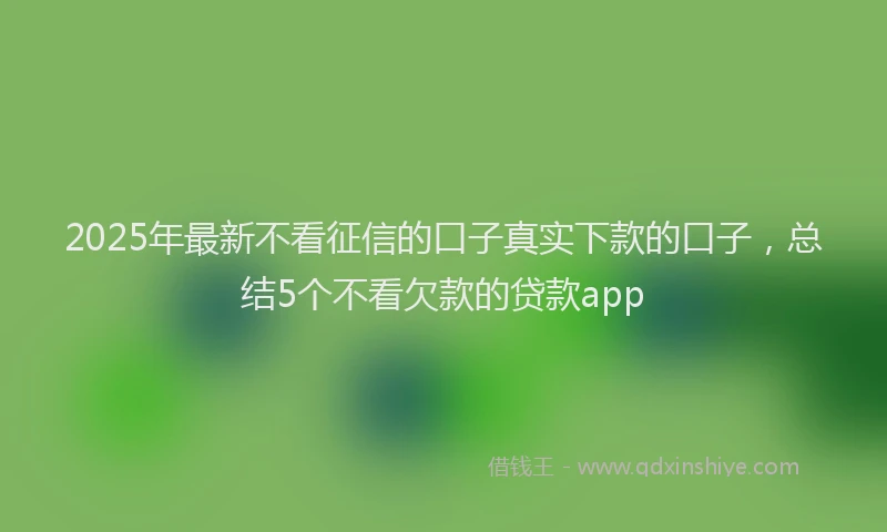2025年最新不看征信的口子真实下款的口子，总结5个不看欠款的贷款app